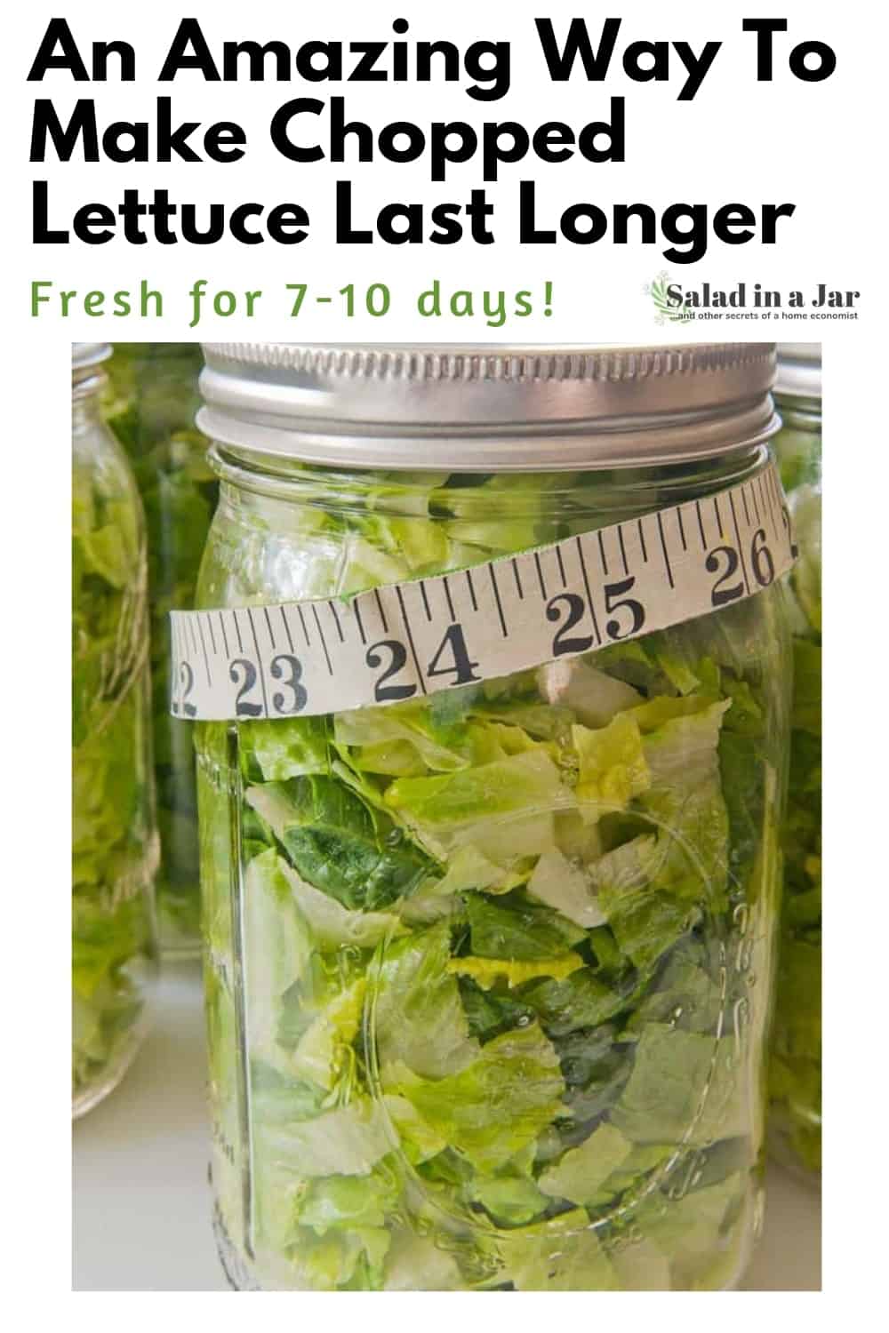 An Amazing Way To Make Chopped Lettuce Last Longer