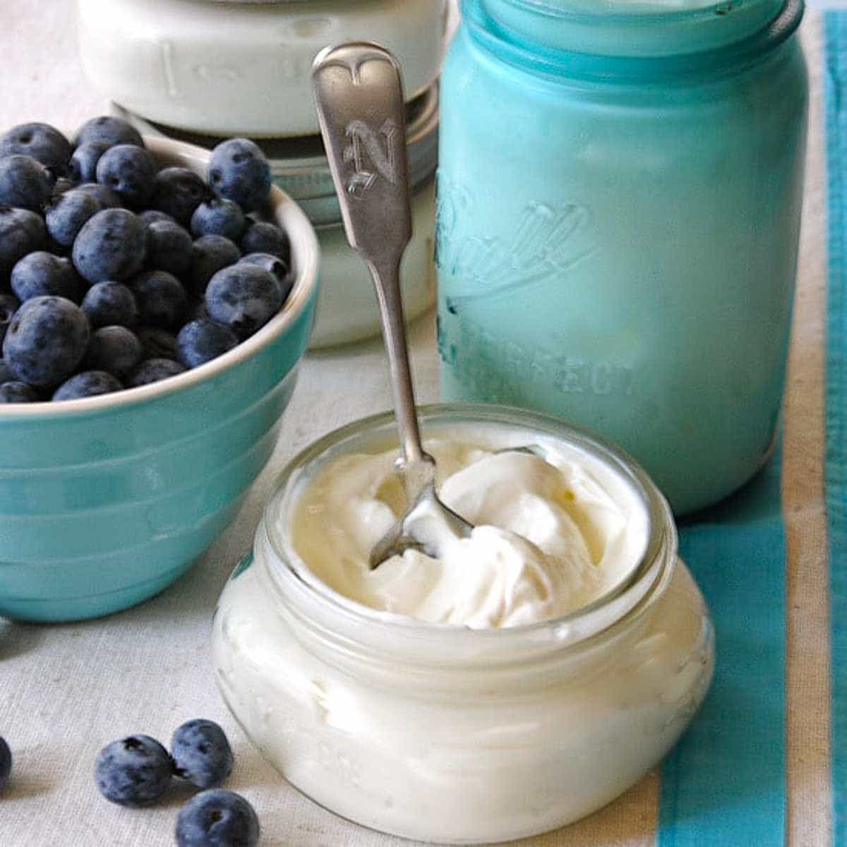 Homemade Greek Yogurt in a serving jar with blueberries in the background