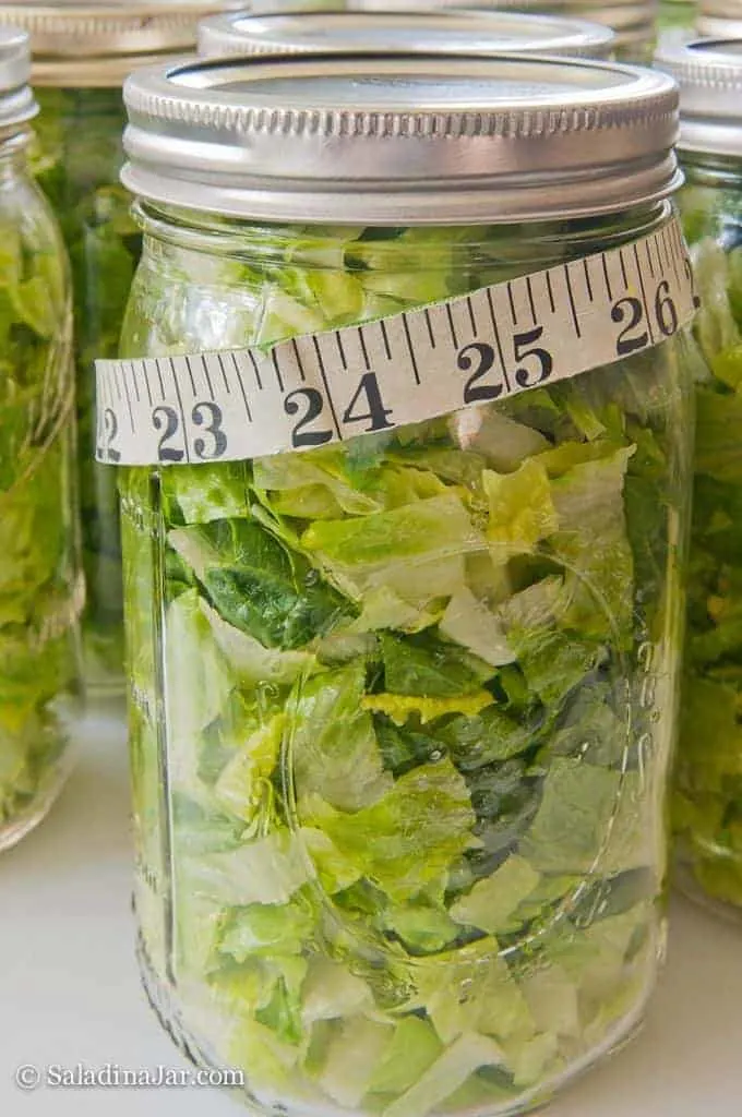 container to keep salad fresh