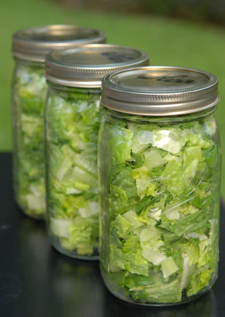 3 vacuum-sealed jars of chopped lettuce