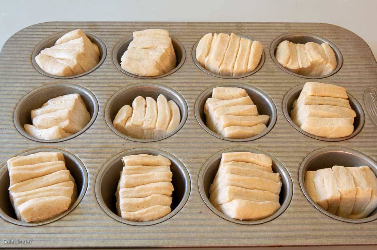 rolls are ready to bake