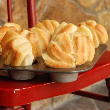 Fantans: A Fun Yeast Roll Made with Yogurt and a Bread Machine