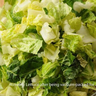 THE LETTUCE EXPERIMENT