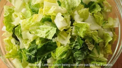 How To Keep Cut Romaine Lettuce Fresh Make It Easy To Eat More Salad