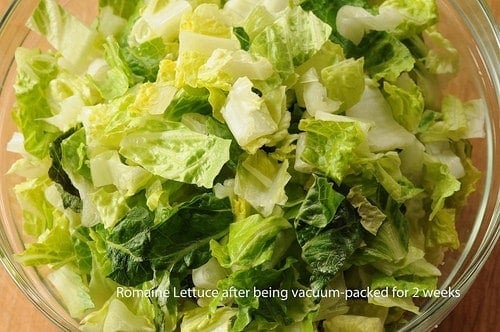 Is a Vacuum Seal or a Plastic Bag Better for Storing Cut Lettuce?