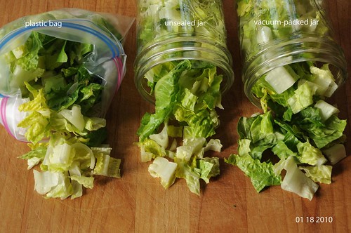 comparing fresh cut romaine lettuce