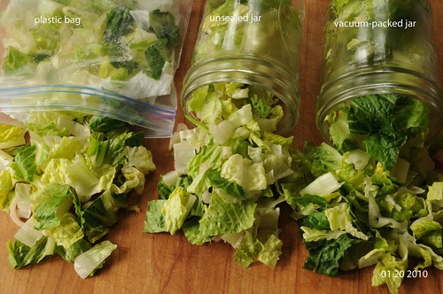 comparing lettuce after storing for 4 days