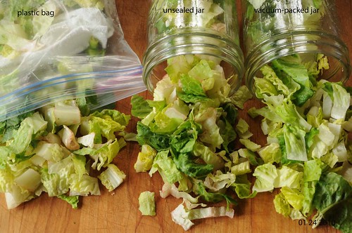 Regency Wraps Salad Saver Bag for Lettuces and Veggies