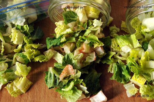 Regency Wraps Salad Saver Bag for Lettuces and Veggies