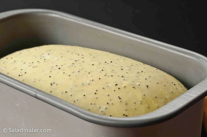 Poppyseed roll dough after it has risen at the end of the DOUGH cycle in a bread machine.