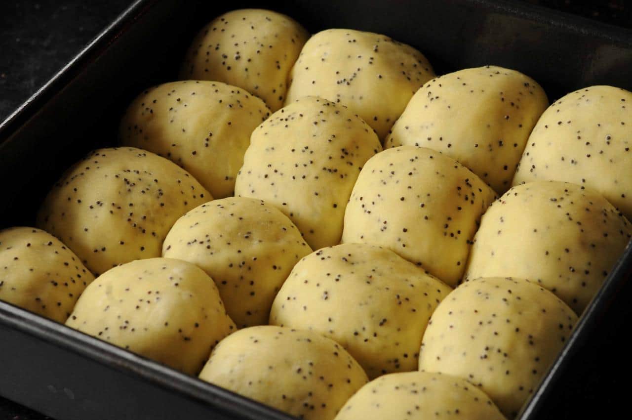 Poppy Seed Rolls--rising in the pan