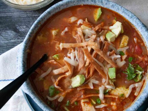 https://saladinajar.com/wp-content/uploads/2010/05/thick-chicken-tortilla-soup-saladinajar.com-12-500x375.jpg