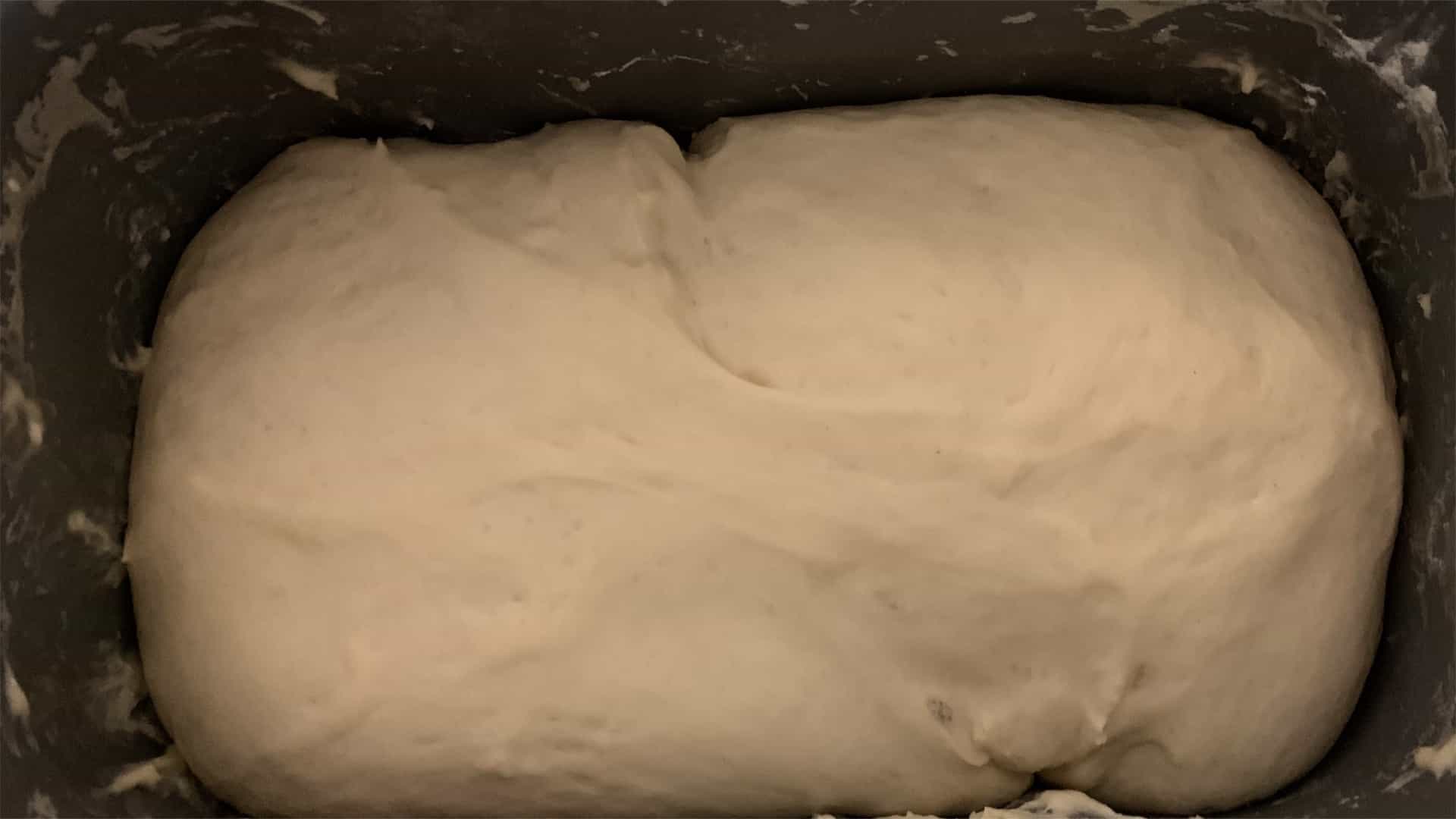 bread dough at the end of the DouGH cycle