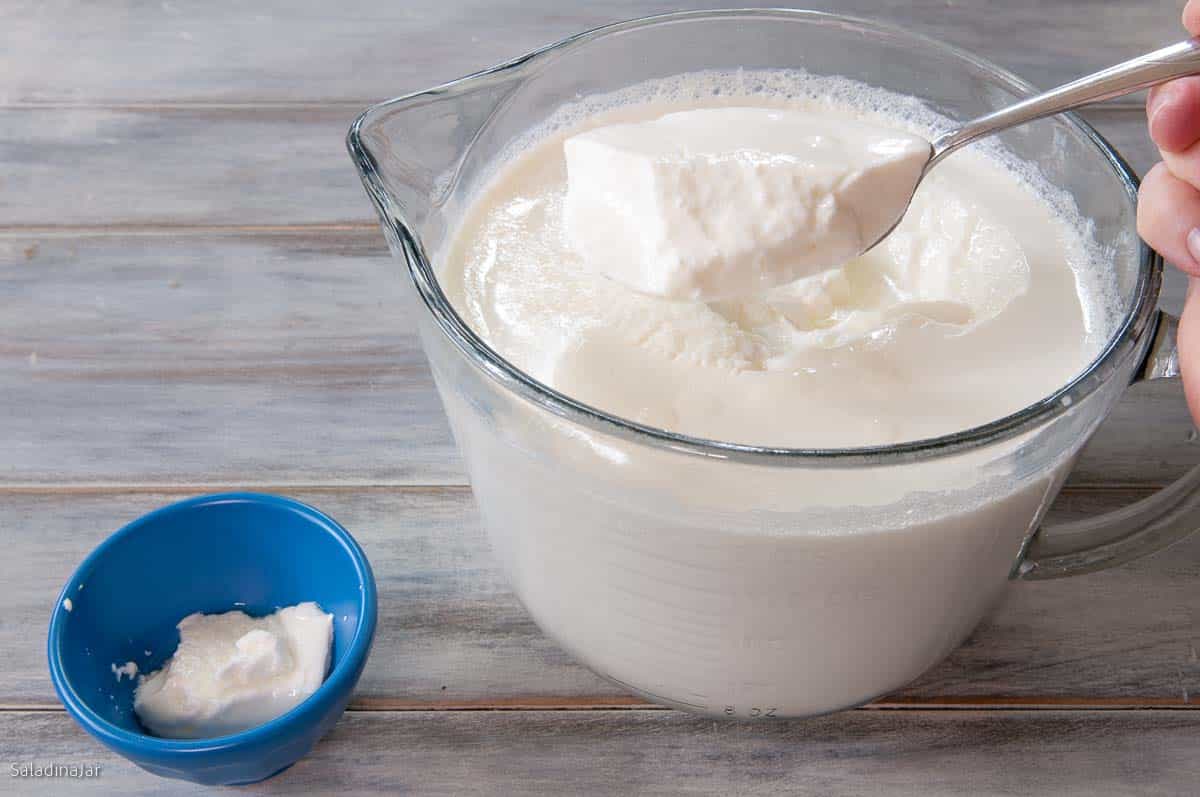 Making Yogurt at Home with MEC