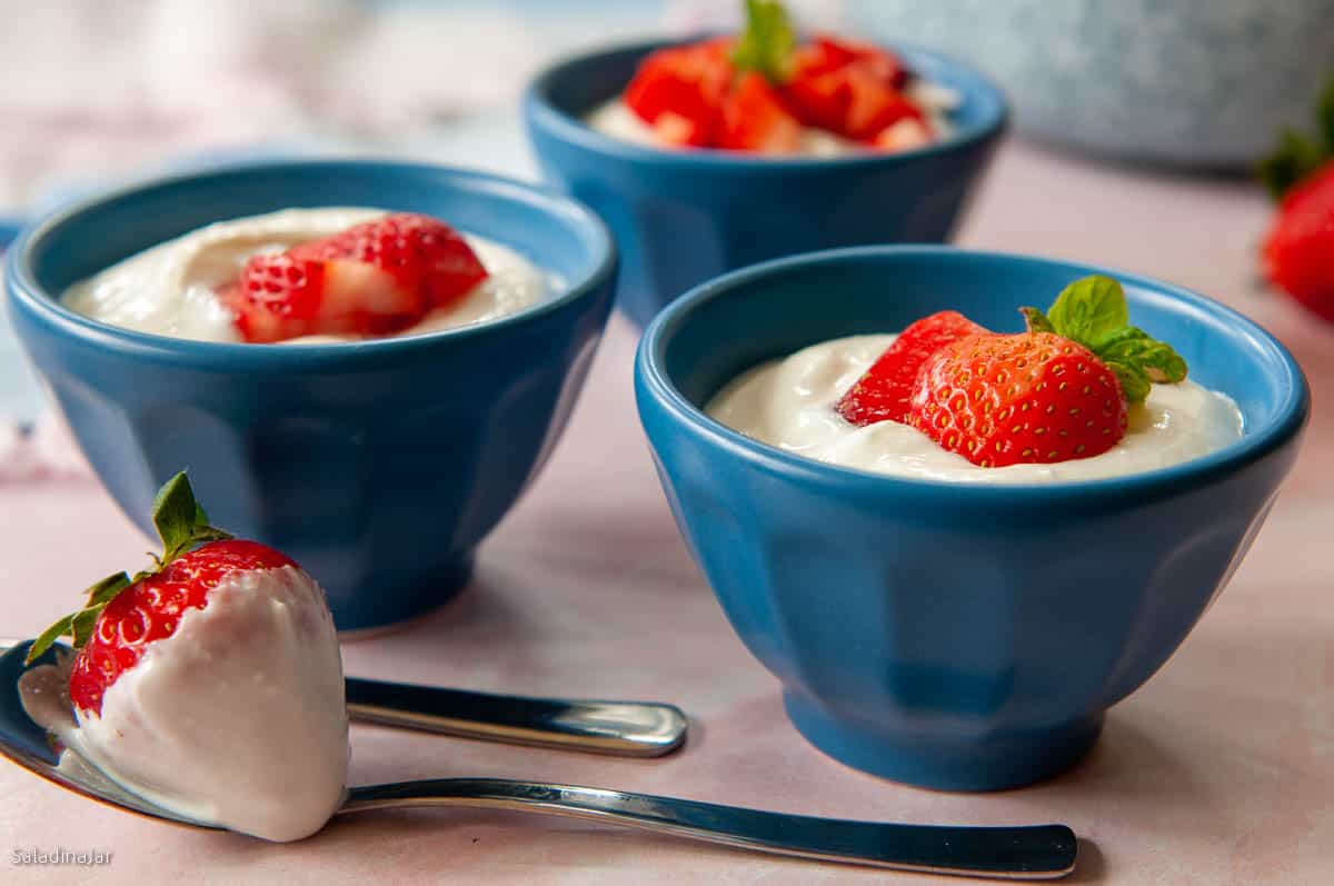 fresh homemade yogurt in bowls with strawberries