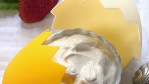 how does a yogurt maker work