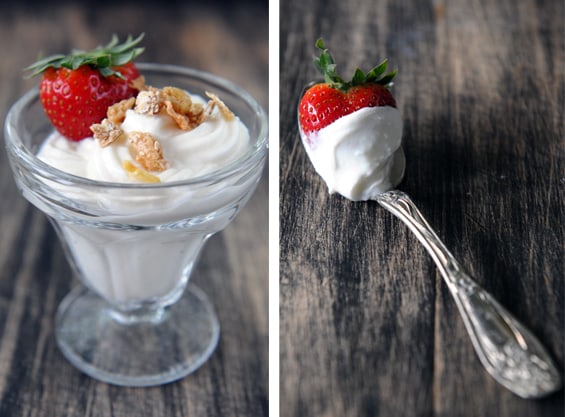 https://saladinajar.com/wp-content/uploads/2011/06/STRAIN-YOGURT-THE-EASY-WAY.jpg