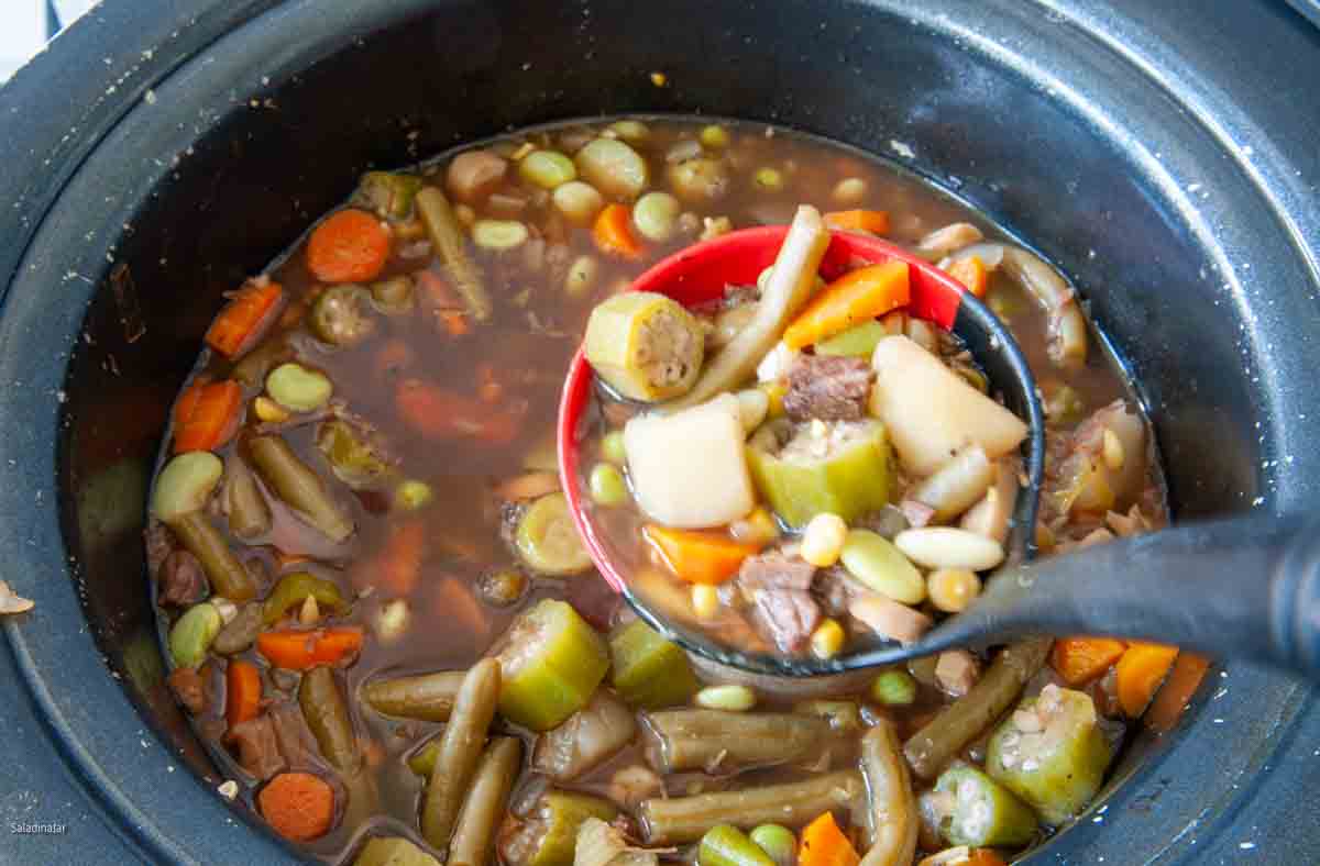 Beef and vegetable soup in a slow cooker with a ladel