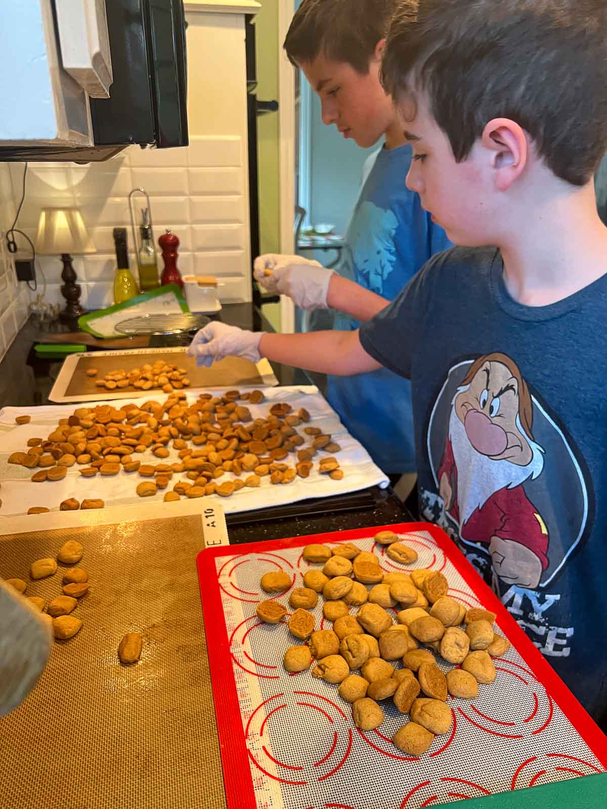 grandsons sorting cookies for giving