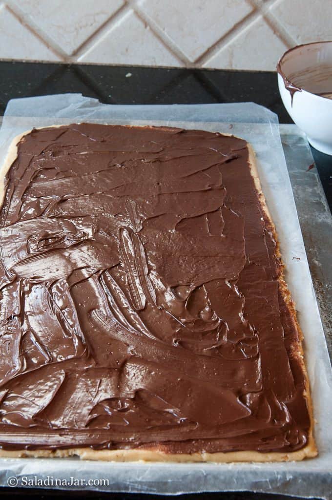 ChocolatePeanut Butter Pinwheel Cookies Fun to Make and Eat