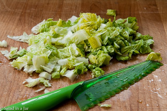 Is a Plastic Knife a Substitute for Vacuum-Packing Lettuce