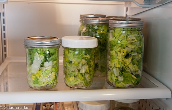 Is a Plastic Knife a Substitute for Vacuum-Packing Lettuce? -- lettuce in the refrigerator