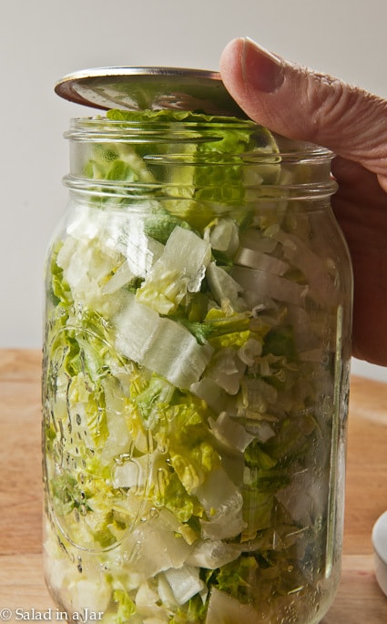 foodsaver mason jar sealer instructions