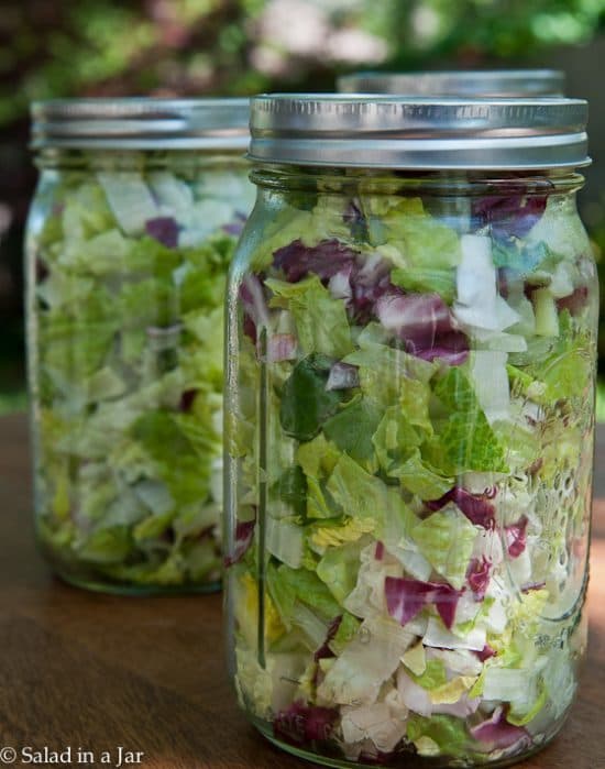 Can You VacuumSeal Lettuce and Vegetables Together? Salad in a Jar