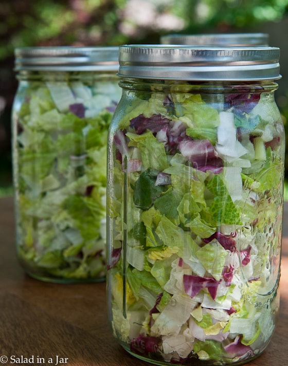 vacuum-sealed jars of romaine and radicchio without added veggies or fruit