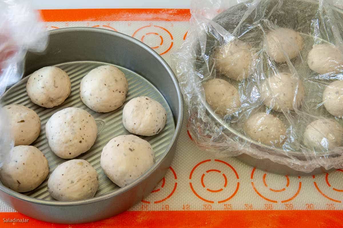dough balls arranged into 8-inch cake pans and covered with a cheap shower cap.