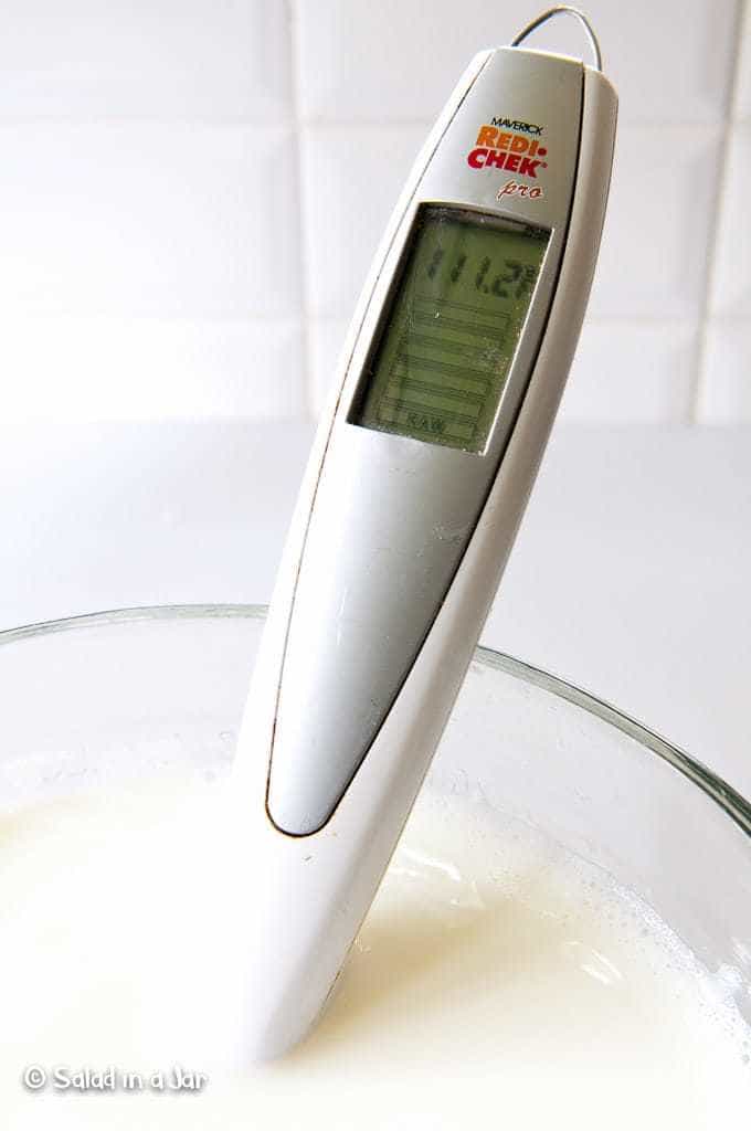 checking temperature on cooling yogurt