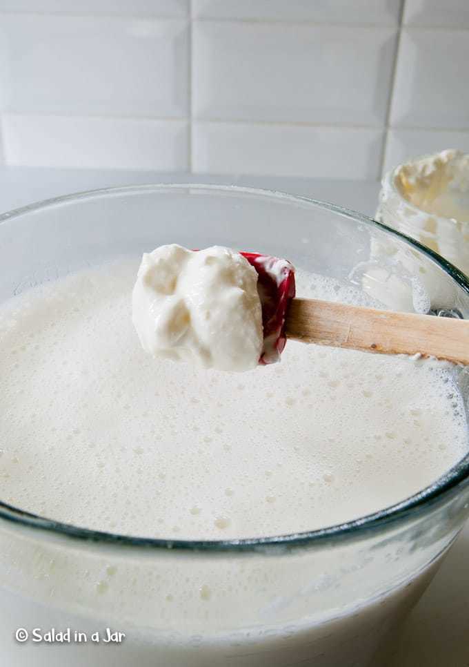 adding starter to cooled milk