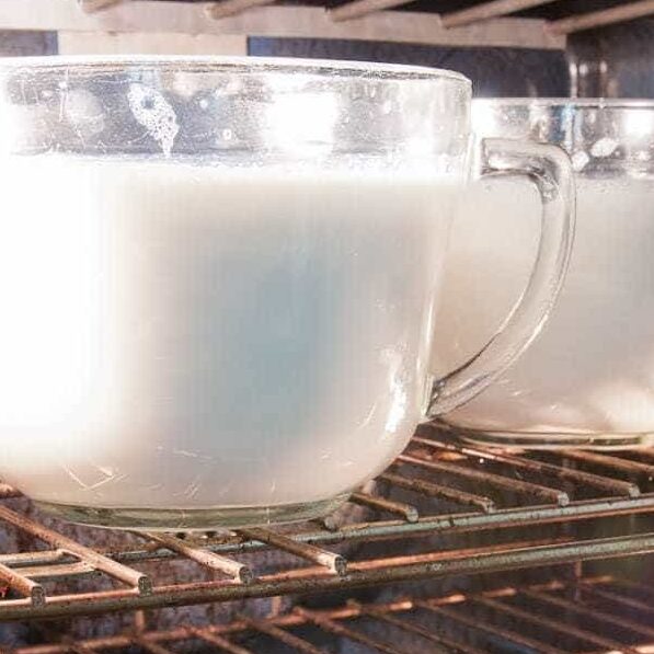 incubating yogurt in oven in Pyrer batter bowls