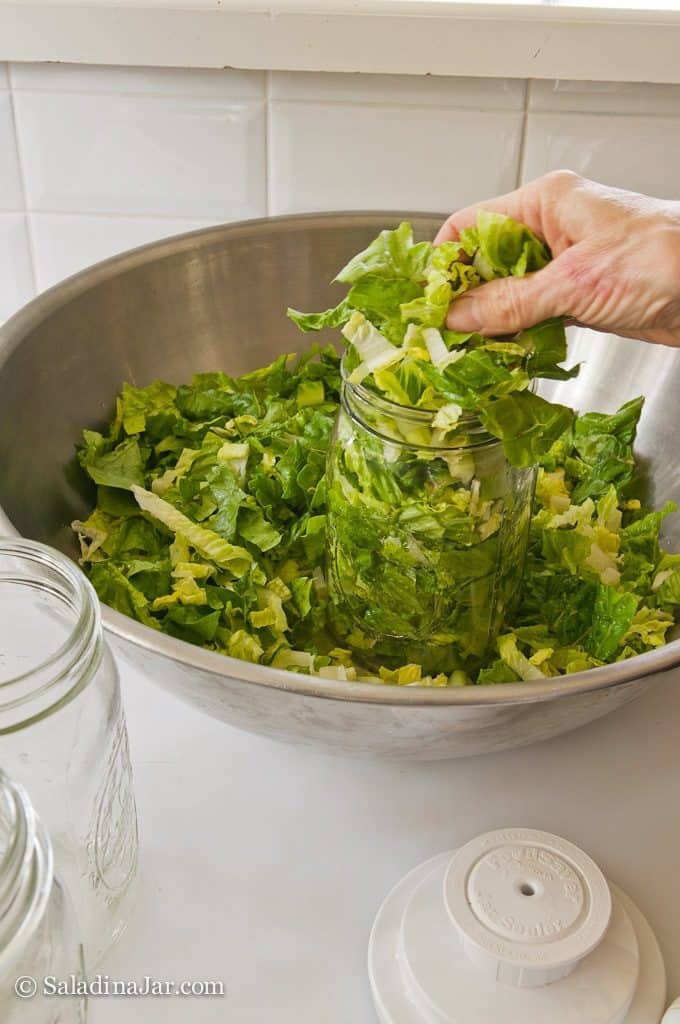 stuffing jars full of lettuce by hand