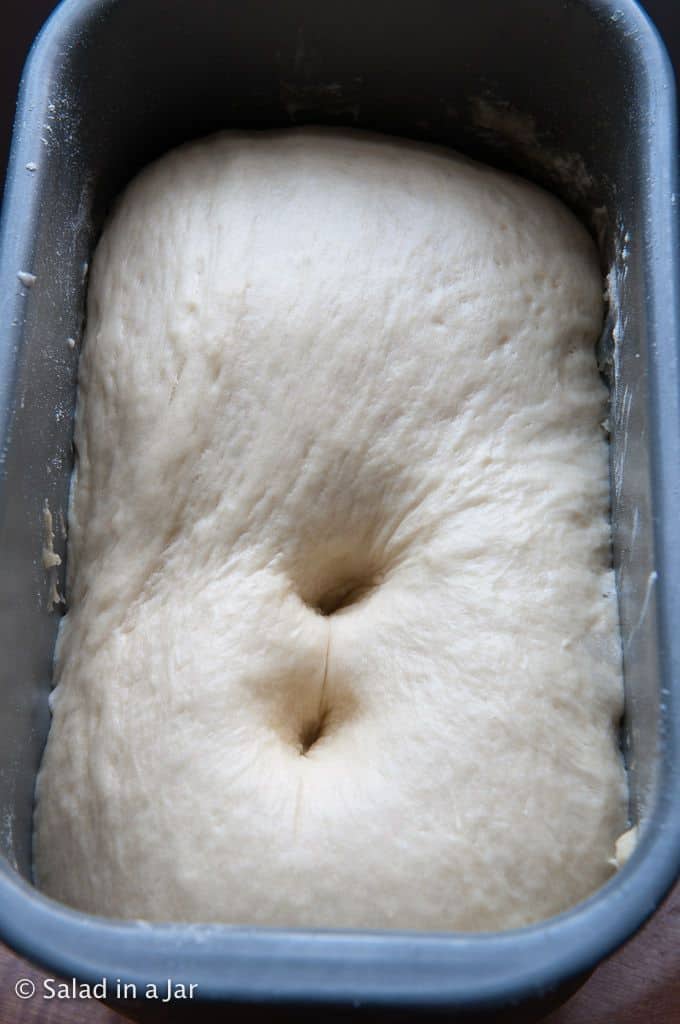 the dough at the end of the DOUGH cycle.