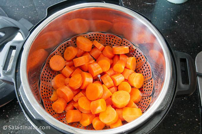 Sliced carrots in Instant Pot before cooking