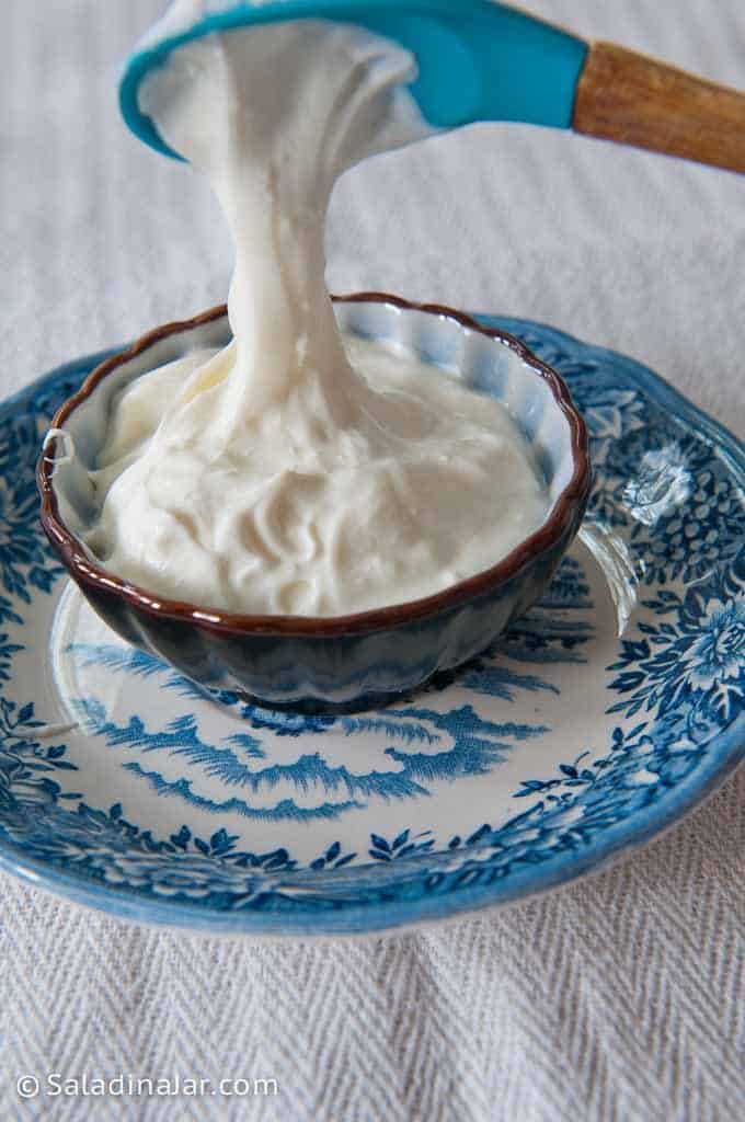 My Stringy Homemade Yogurt and How to Avoid It--A picture of stringy homemade yogurt