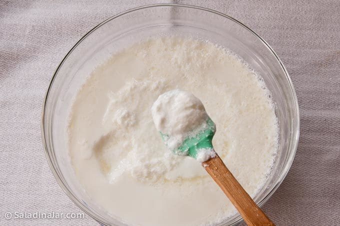 slimy  or stringy yogurt before it has been chilled or strained