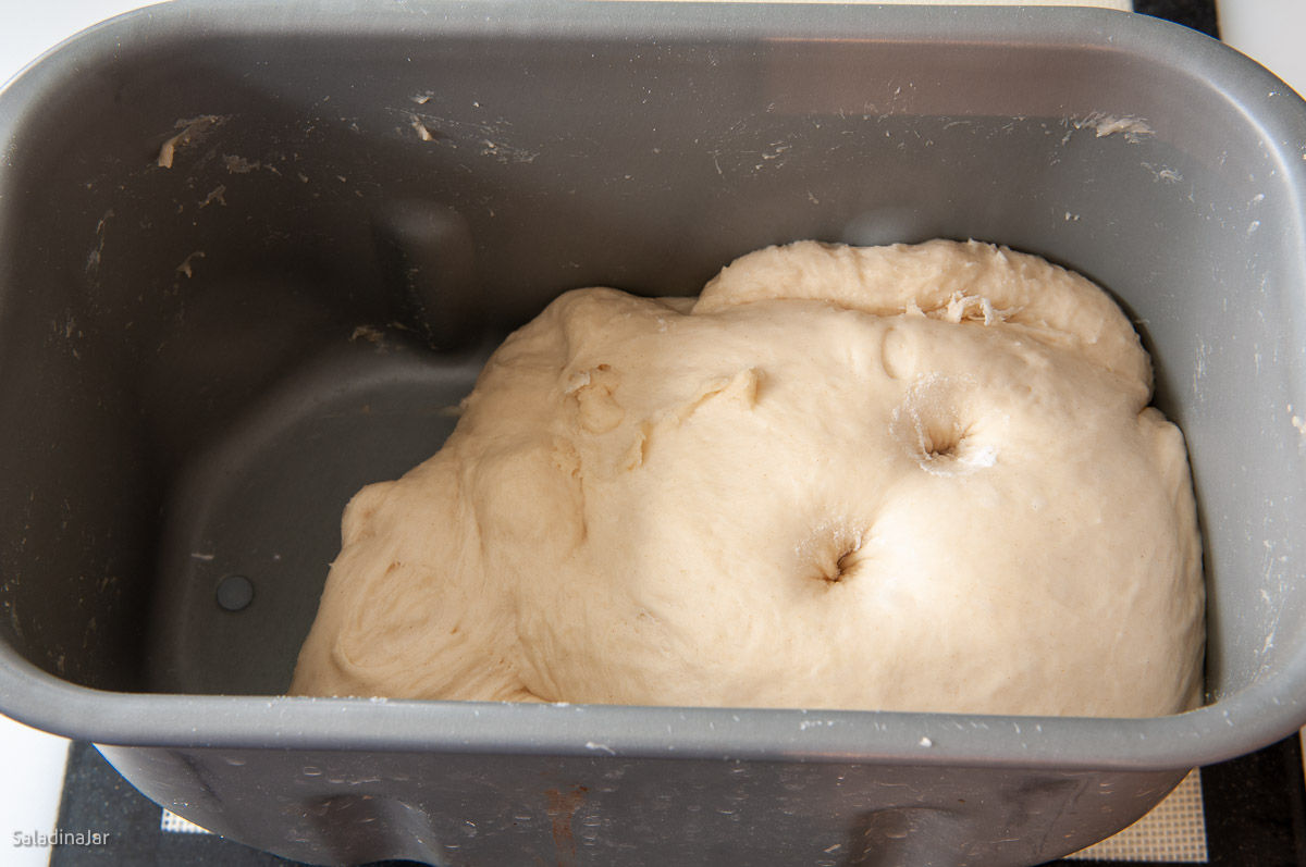 Dough at the end of the DOUGH cycle.