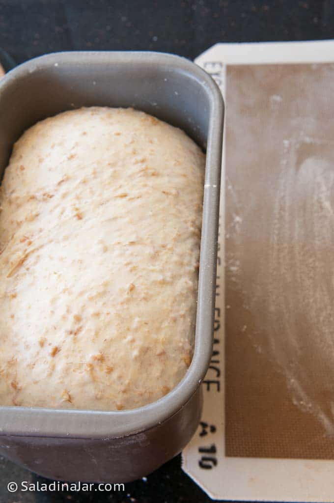 dough in bread machine