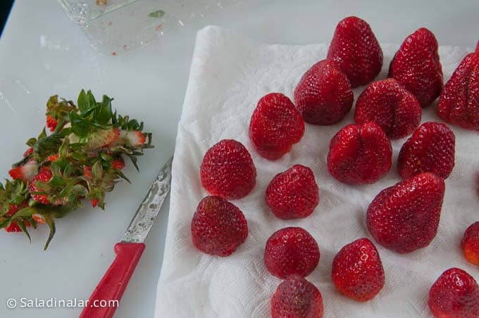 cleaning fresh strawberries.