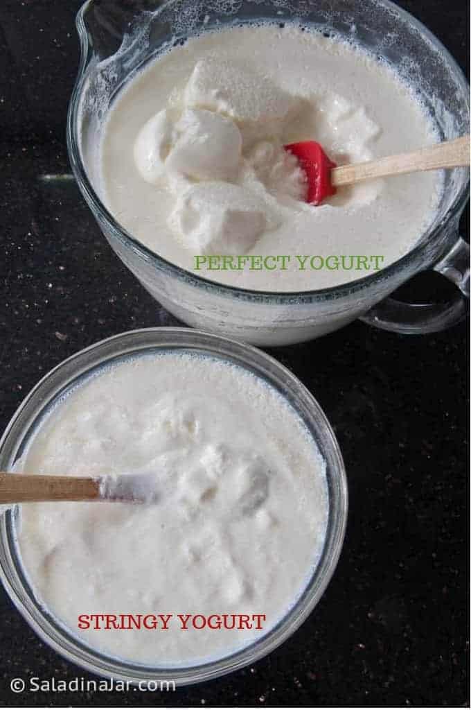 perfect yogurt compared to stringy yogurt