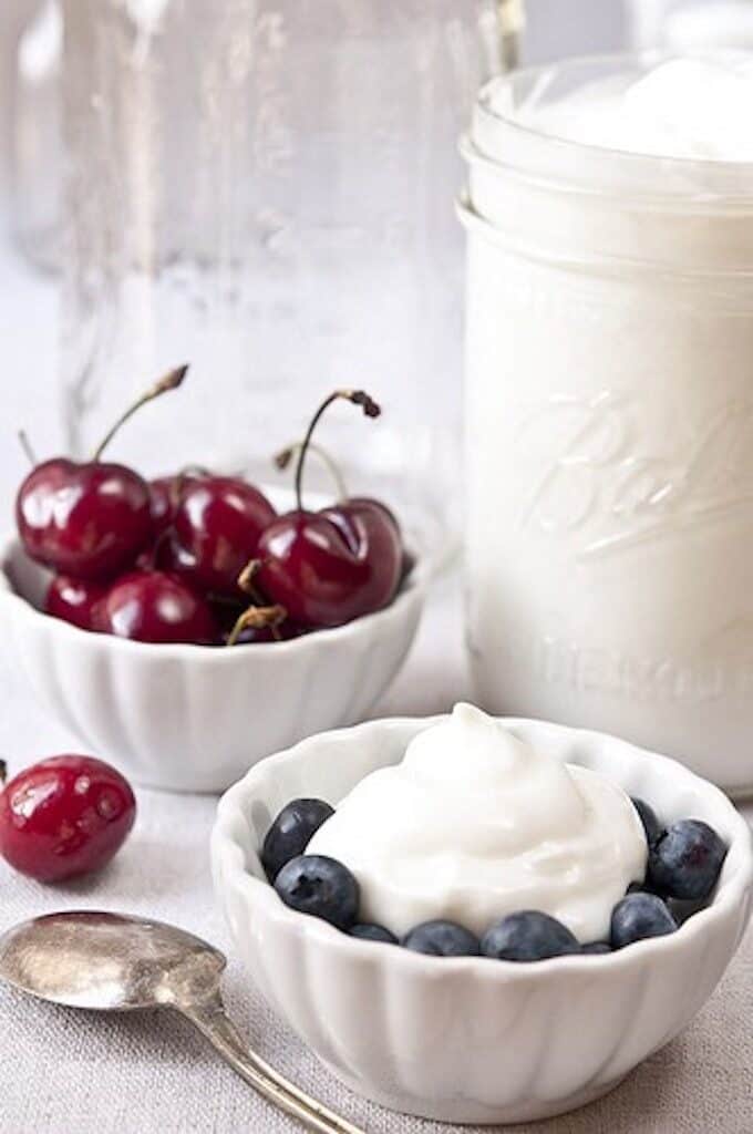 yogurt maker recipes greek