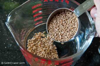 Wheat Berry Bread: A Terrific Way to Eat More Whole Grains