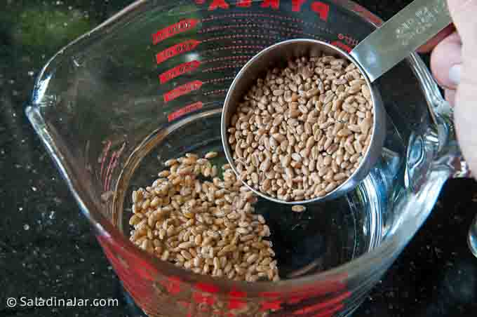 adding wheat berries to water to soften them