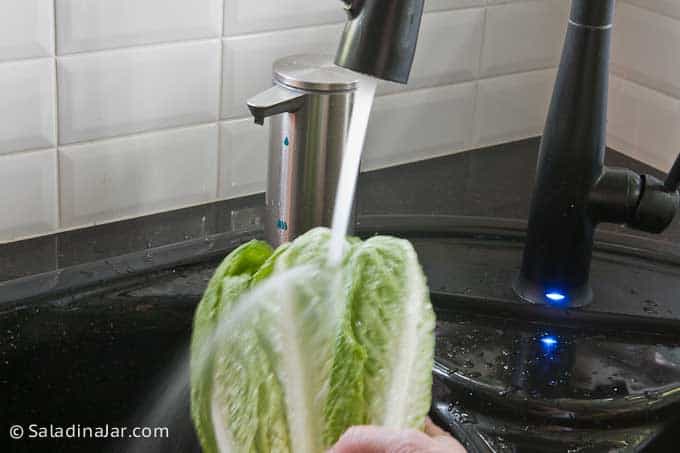 washing whole lettuce in the sink.