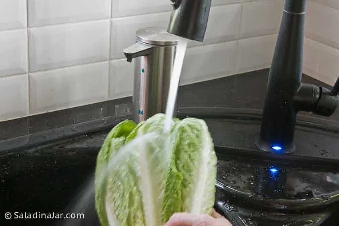 How To Keep Cut Romaine Lettuce Fresh Make It Easy To Eat More Salad