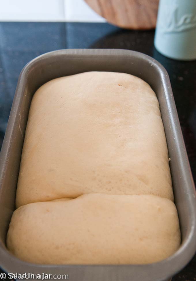 rescued bread dough
