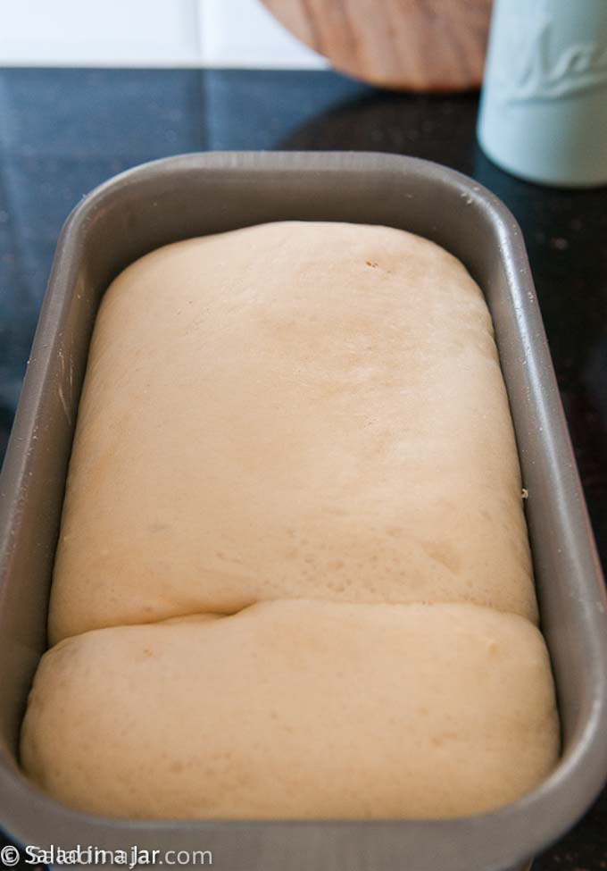 How to tell if bread dough is over proved - How to proof bread dough