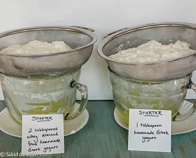 comparing yogurt made with whey as the starter and yogurt made with yogurt starter